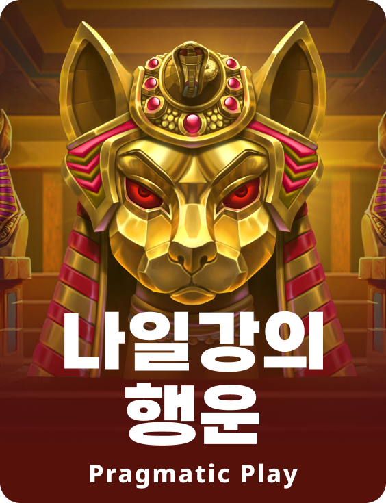 나일강의 행운
